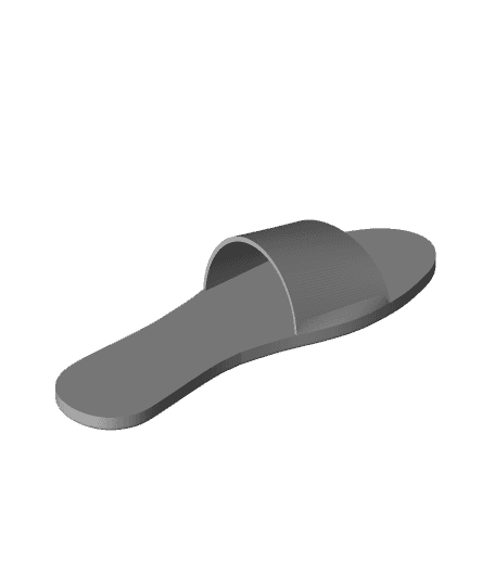 Flip-Flop Shoe Sandal Concept Design 3d model