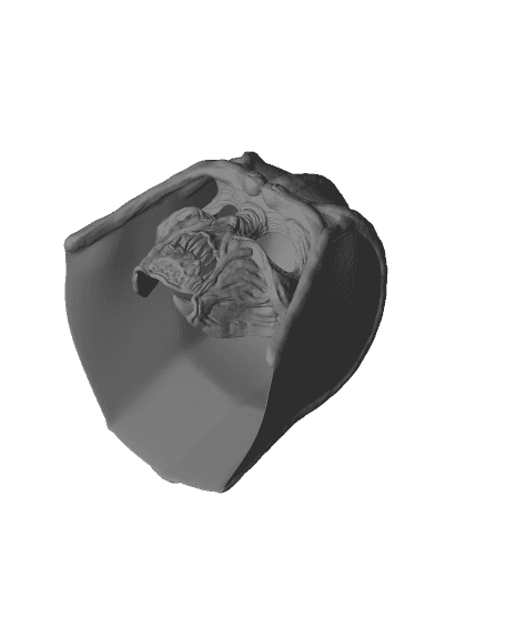 SkullVader 3d model