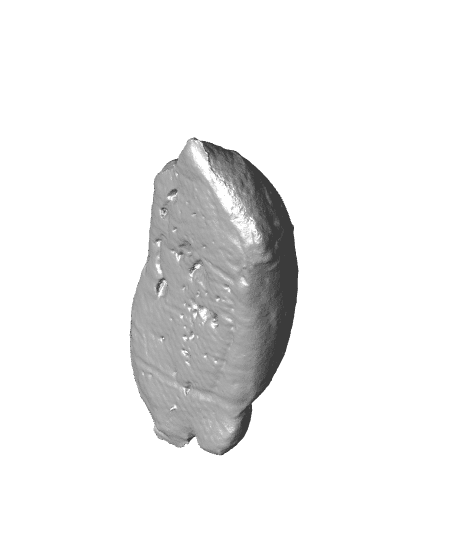 German "Briegel" Bread Roll 3D Scan 3d model