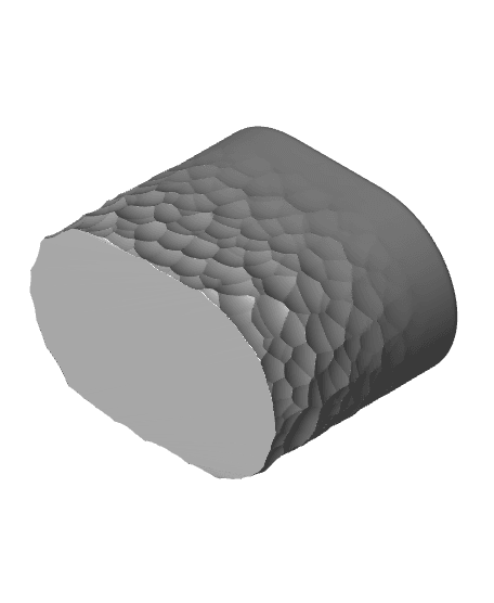 VORONOI HOLDER 3d model