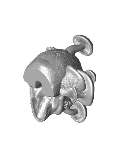 The Reclaimed Skull.stl 3d model