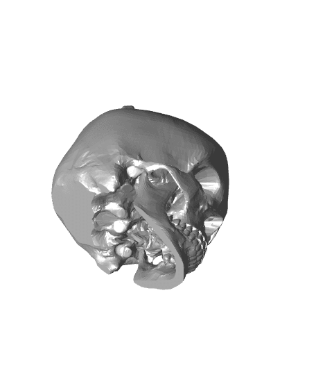 Skull keychain 3d model