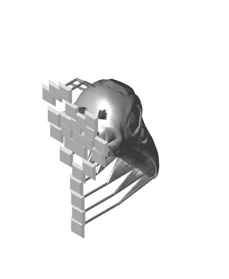 Amulet of Bird 3d model