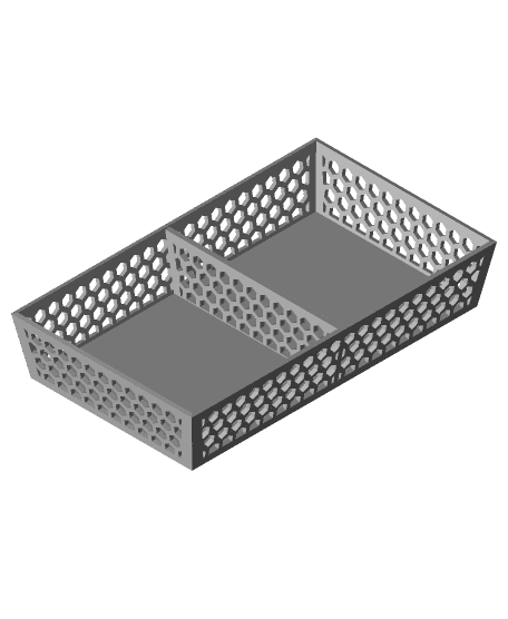 Hex Tray / Bin Large w/Divider 3d model