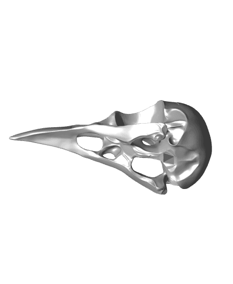 Crow Skull (Pre-Supported) 3d model