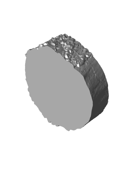 Rustic Log Key Bowl 3d model