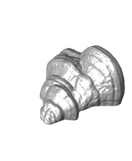 Mushroom shelf “Fomes Fomentarius” 3d model