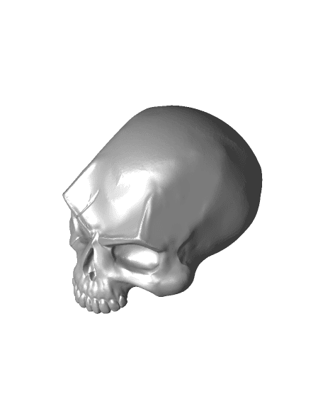 Skull_scar 3d model