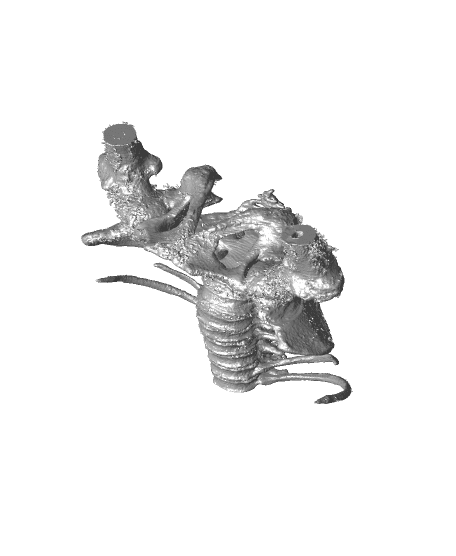 bone.stl 3d model