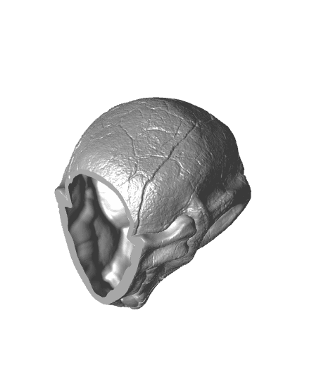 Charmander Skull - Pokemon - Support Free 3d model