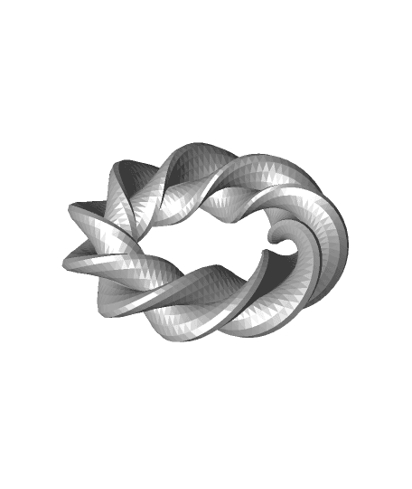 Twisted Torus.stl 3d model