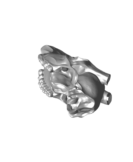 Deer Skull (Pre-Supported) 3d model