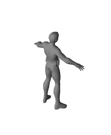 Robin 3d model