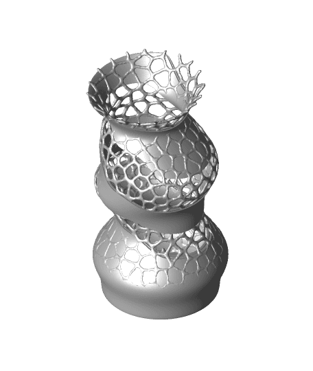 Wobbly Voronoi Vase 3d model