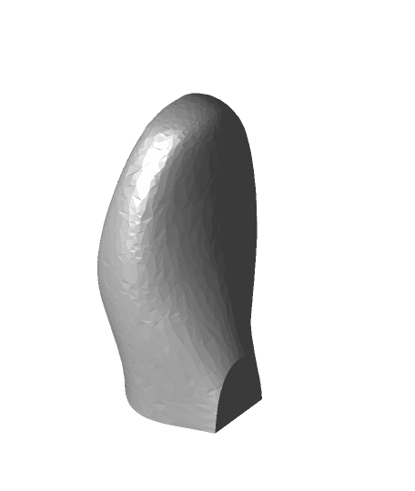 Shoe Expander 3d model