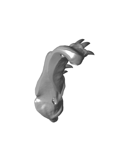 Bone Devil's Mandible 3d model