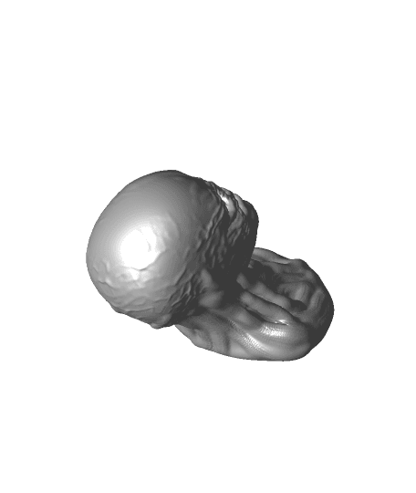 Vecna Bust - Stranger Things 3d model