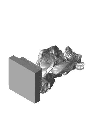 Expressionisme 3d model