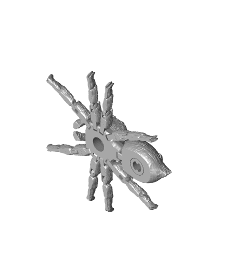 Flexi Jumping Spider 🕷 3d model