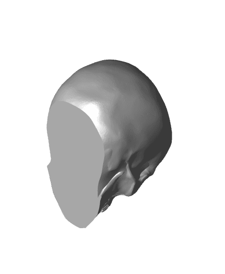 Skull Planter 3d model