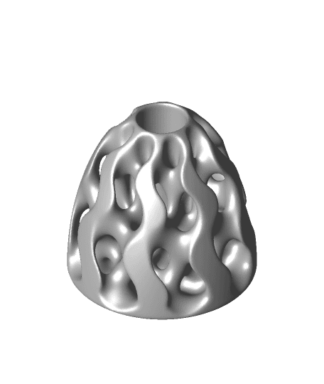 Reticular Form 2 3d model