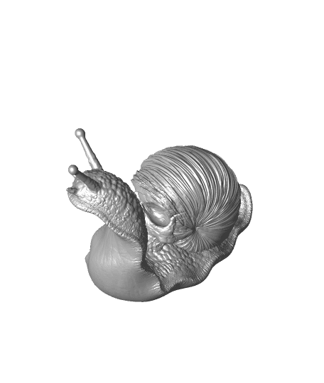 Skull Snail  3d model