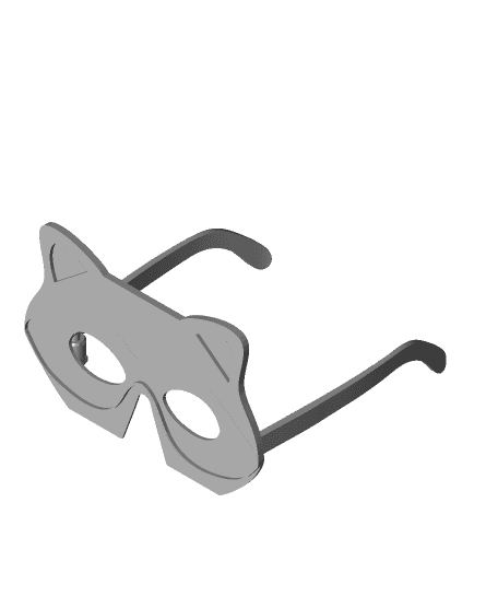 Raccoon Glasses/Mask 3d model