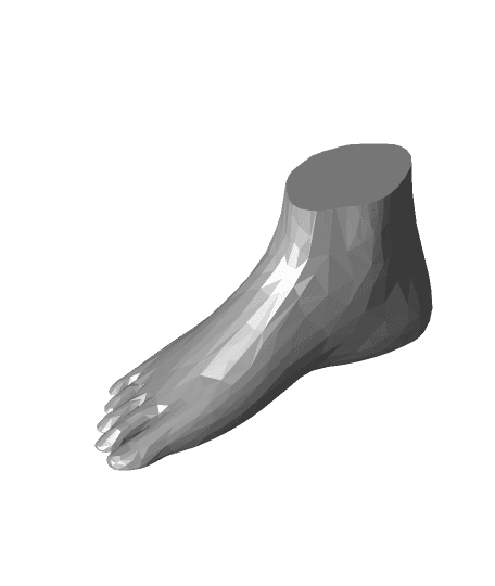 Foot Low.stl 3d model