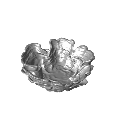 Mushroom bowl “Stereum Hirsutum” 3d model