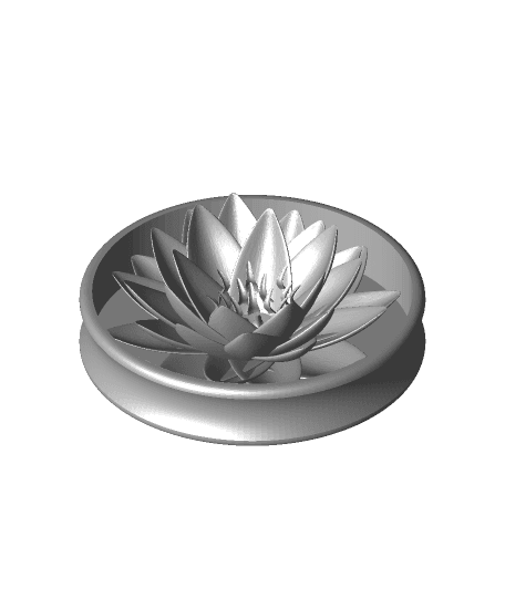 Custom Plug Lotus 65mm 3d model