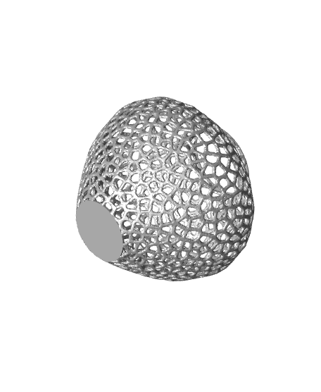 Strawberry Voronoi 3d model