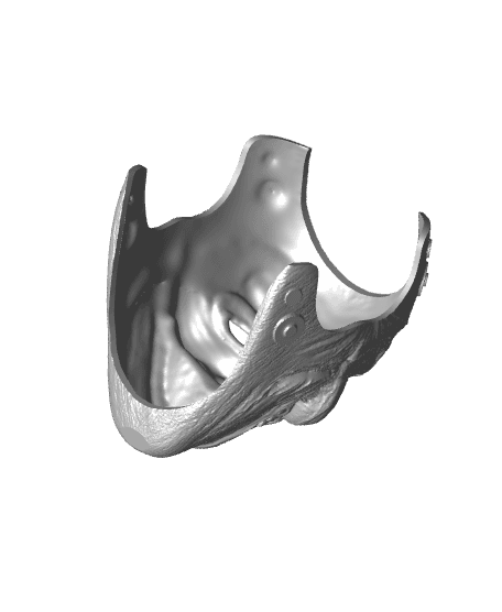 Bray Wyatt Mask 3d model