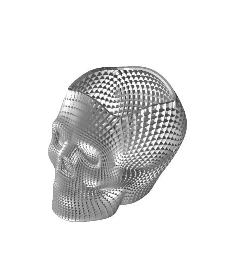 skull_art.stl 3d model