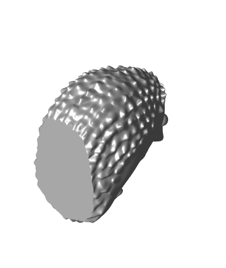 Cute Hedgehog 3d model