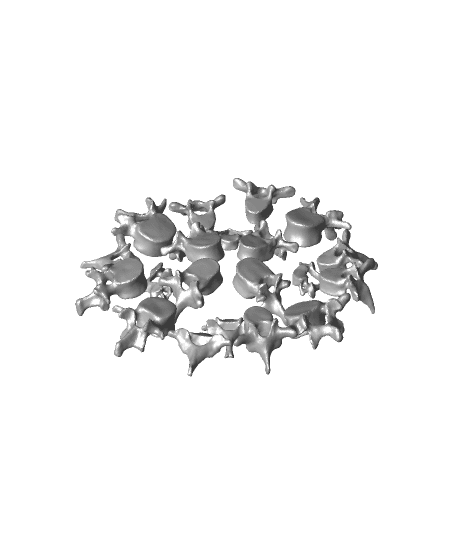 Big Bowl O’ Back Bones (Plain) 3d model