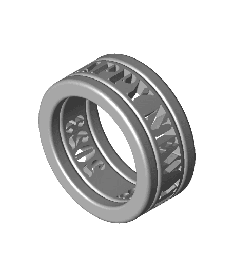 Ring_2023_V2.stl 3d model