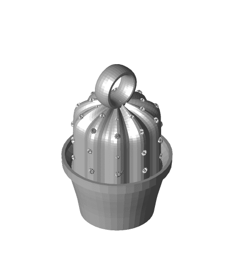 Cactus Keyrings 3d model