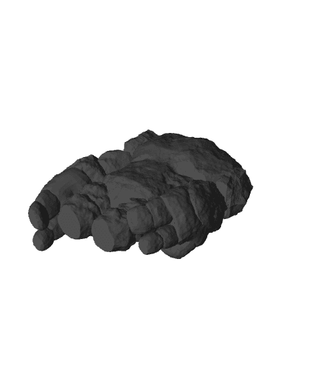 Oolitic  3d model