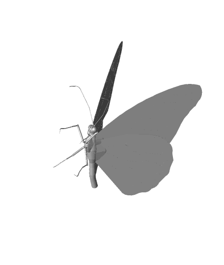 Monarch Butterfly 3d model