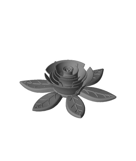 Rose 3d model