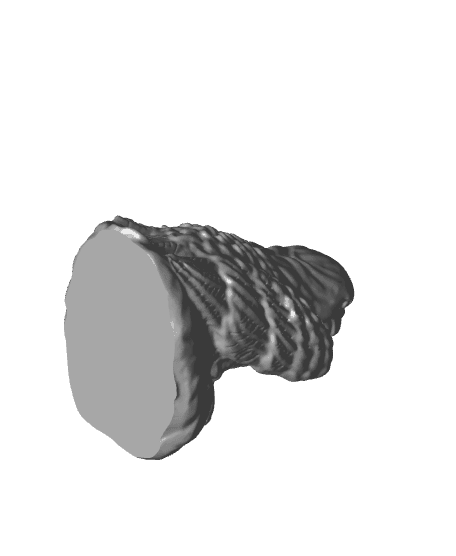 Eagle no support 3d model