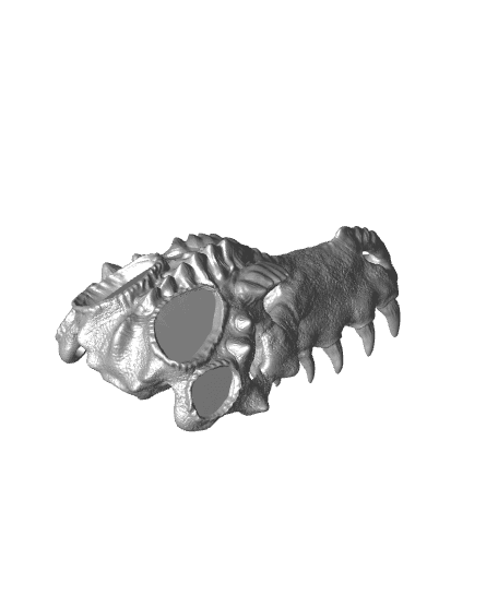 Dragon Skull 1 3d model