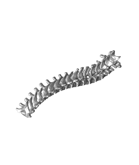 Wearable Spine 3d model