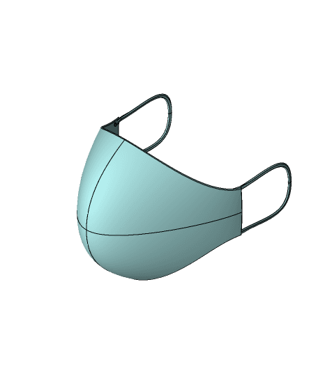 Face Mask 3d model