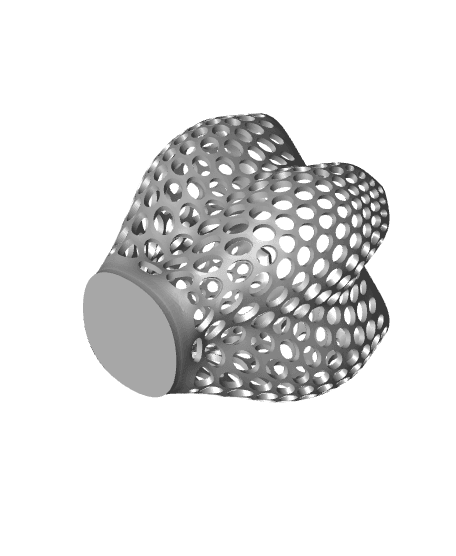 STRAWBERRY VORONOI VASE 3d model