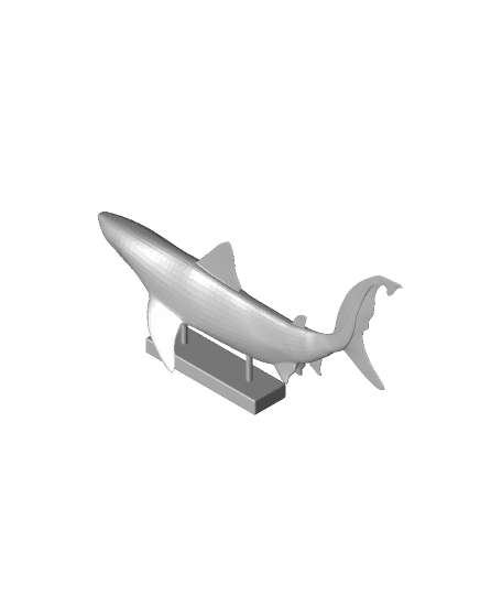 prop v4 Shark 3d model