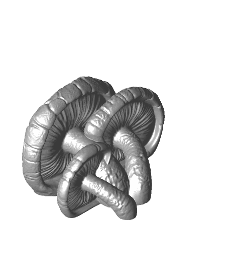 Mushroom shelf “Lentinula Edodes” 3d model