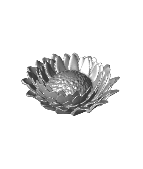 Flat bottom of flower 3d model