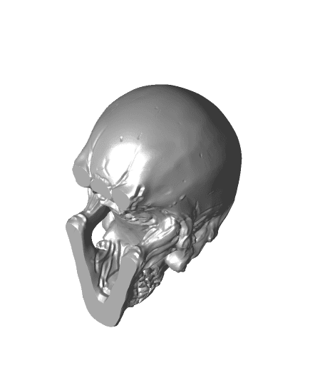 Vampire Skull - Decoration 3d model