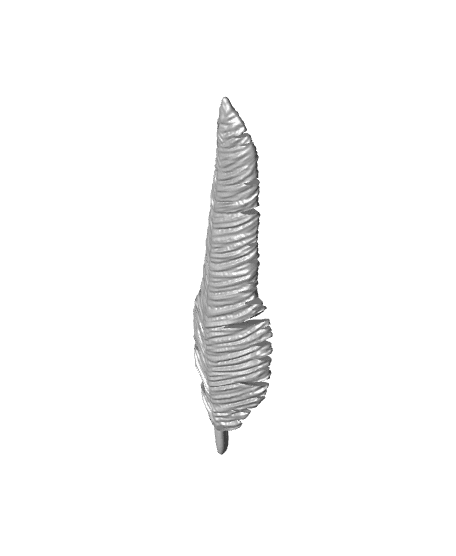 Roc Feather 3d model